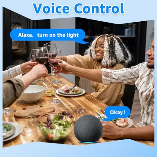 The Greencycle Smart Plug with Switch,Wireless Switch,APP,Voice,3 Ways Control | No in real use