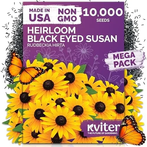 10,000 Black Eyed Susan Heirloom Flower Seeds for Planting, Rudbeckia Hirta | Gloriosa Daisy Review: Tested and Rated