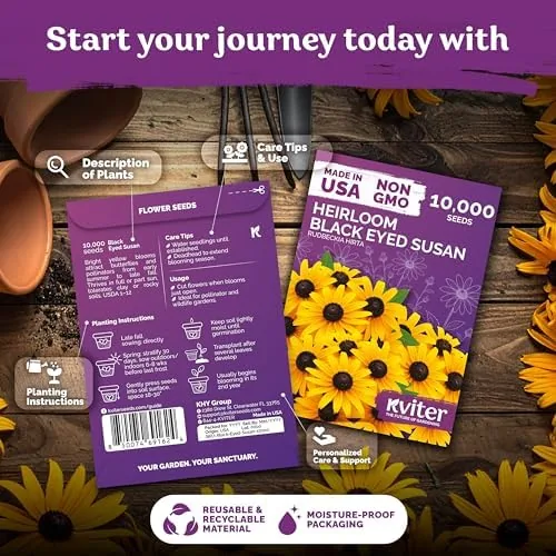 Close look at the 10,000 Black Eyed Susan Heirloom Flower Seeds for Planting, Rudbeckia build quality
