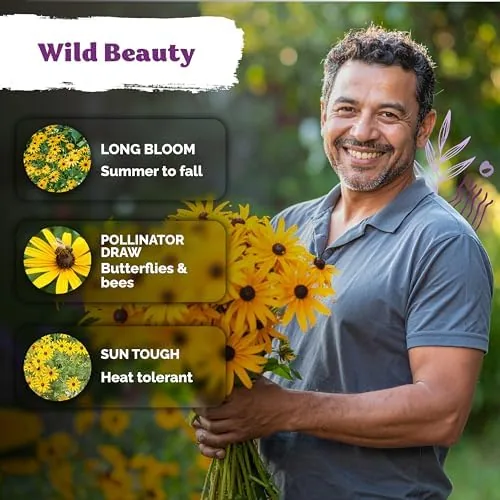 The 10,000 Black Eyed Susan Heirloom Flower Seeds for Planting, Rudbeckia in real use