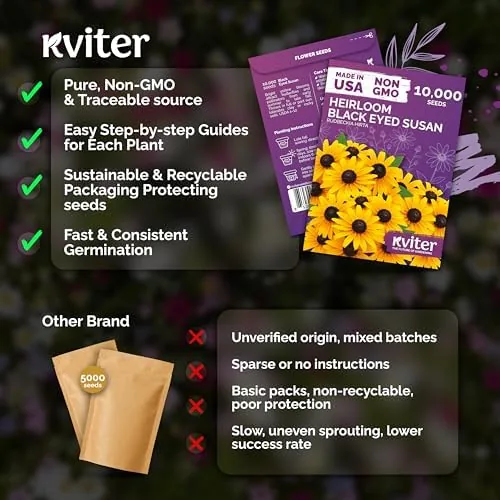 Another view of the 10,000 Black Eyed Susan Heirloom Flower Seeds for Planting, Rudbeckia