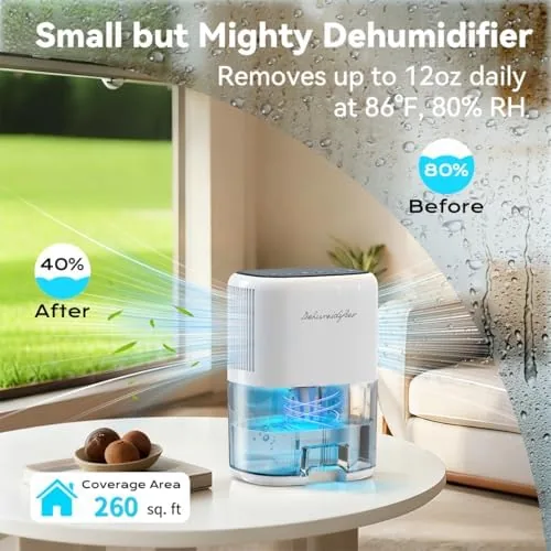 Close look at the Small Dehumidifier for Home 44OZ Quiet with Auto Off & build quality
