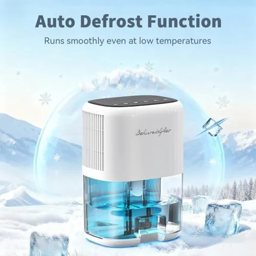 The Small Dehumidifier for Home 44OZ Quiet with Auto Off & compared in context
