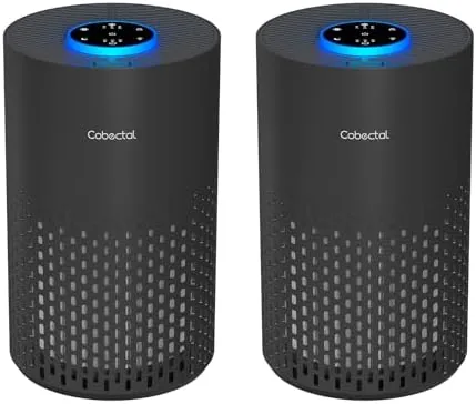 2 Pack Air Purifiers for Bedroom Home, Cobectal Air Cleaner with HEPA 3-in-1 Filter Review: Tested and Rated