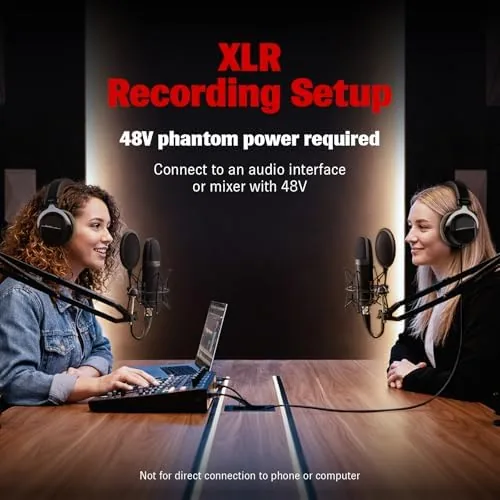 An audio interface connected to the microphone by the 5m XLR cable