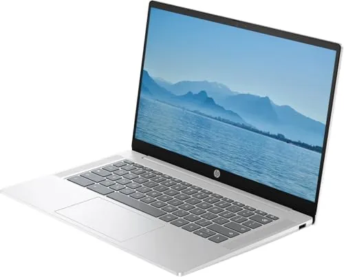 The Chrome OS desktop with several browser tabs open and a document window in view