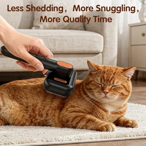 Long haired cat being groomed calmly with the steam brush