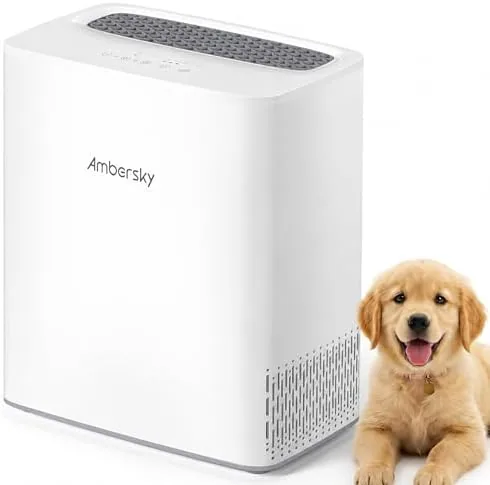 Ambersky Air Purifier for Home, True HEPA Filter Cover Up to 2000sq.ft | Real-Time Review: Tested and Rated