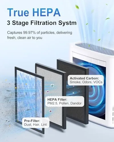 The Ambersky Air Purifier for Home, True HEPA Filter Cover Up compared in context