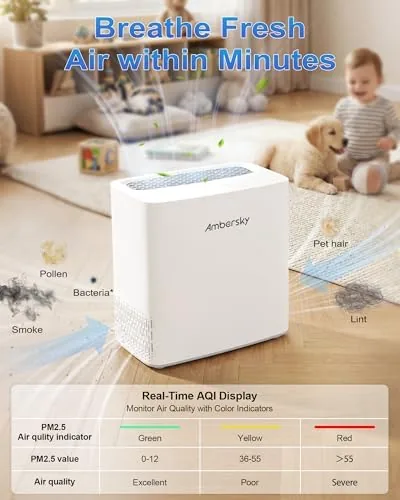 Testing the Ambersky Air Purifier for Home, True HEPA Filter Cover Up over two weeks
