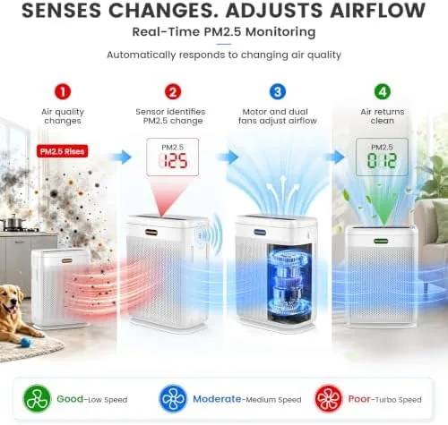 Another view of the Air Purifiers for Home Large Room Up to 3000 sq