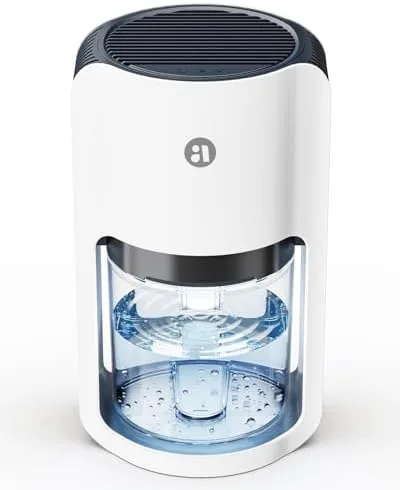 Small Dehumidifier for Bedroom, 42oz Dehumidifier with Auto Shut Off, Quiet Portable Dehumidifier for Review: Tested and Rated