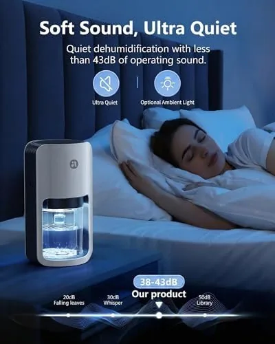 The Small Dehumidifier for Bedroom, 42oz Dehumidifier with Auto Shut Off in real use