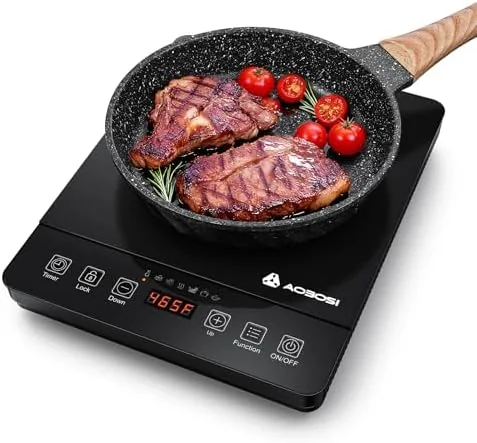 AAOBOSI Portable Induction Cooktop, 1800W, 20 Temp & Power Levels, Timer | Fast & Review: Tested and Rated