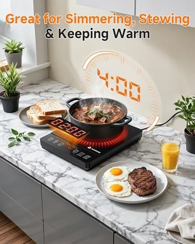 The AAOBOSI Portable Induction Cooktop, 1800W, 20 Temp & Power Levels compared in context