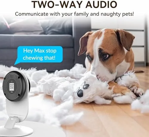 Testing the YI 2K Indoor Security Camera with Adhesive Mount for Wall/Window over two weeks