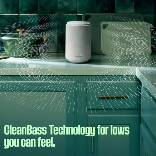 Bose speaker placed on a media console in a living room