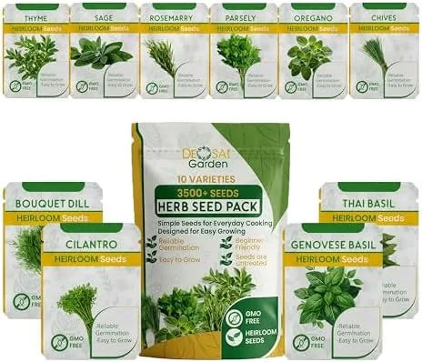 10 Herb Seeds Variety Pack, Non GMO Heirloom Seeds, Cilantro, Oregano, Parsley, Chives, Sage Review: Tested and Rated