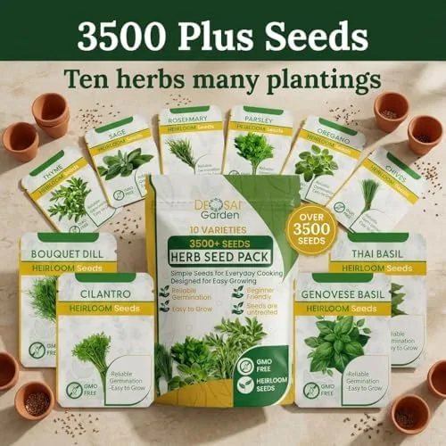 Close look at the 10 Herb Seeds Variety Pack, Non GMO Heirloom Seeds, Cilantro build quality