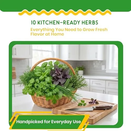 The 10 Herb Seeds Variety Pack, Non GMO Heirloom Seeds, Cilantro in real use