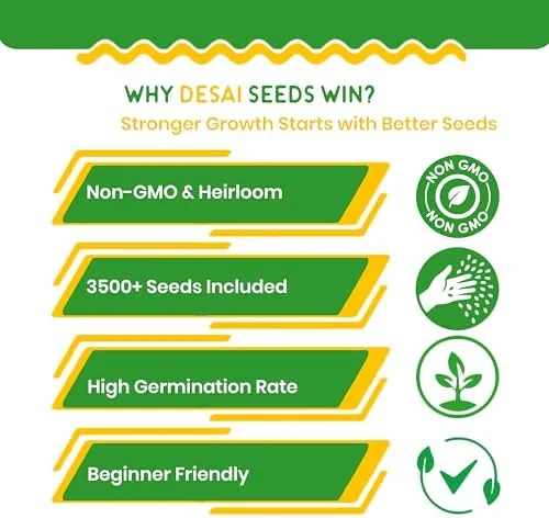 Testing the 10 Herb Seeds Variety Pack, Non GMO Heirloom Seeds, Cilantro over two weeks