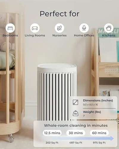 The Windmill Air Purifier for Home, 3-In-1 Filtration for Dust, Smoke in real use