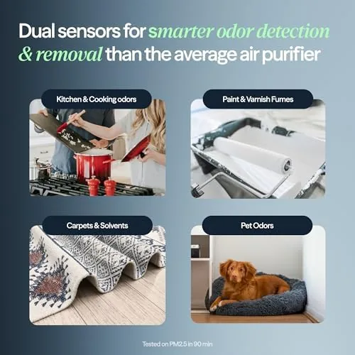 Comparison of the BLUEAIR SP3i with other smart air purifiers