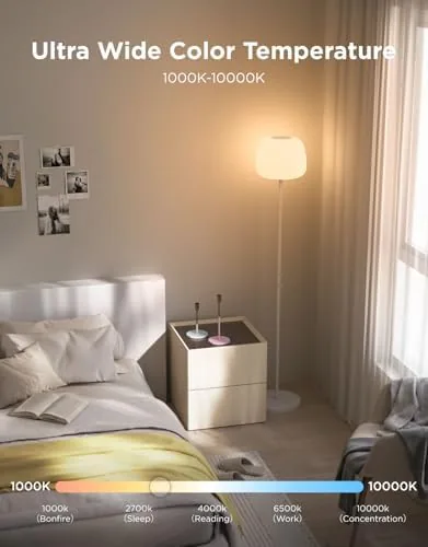 The black lamp lighting a sofa area at a warm color temperature in the evening