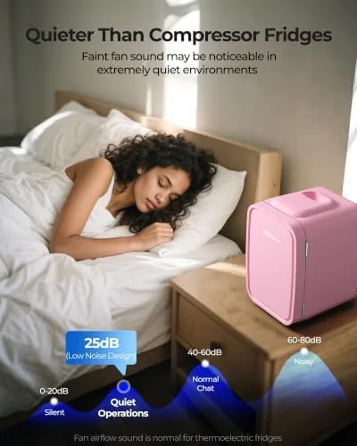 The BEICHEN Mini Fridge 4 Liter/6 Can Portable Compact Refrigerator | compared in context