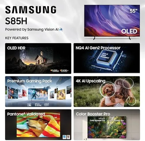 The S85H displaying a nature scene with vivid green and blue colors