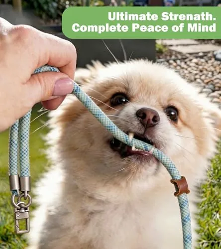 The Universal 3-in-1 Phone Lanyard Kit, Anti Theft Crossbody Strap and in real use