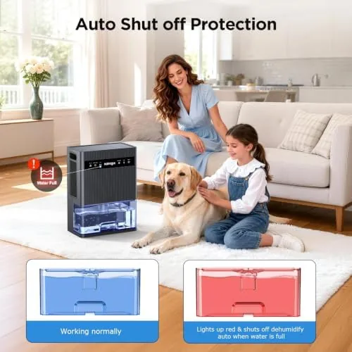 The 106 OZ Large Capacity Dehumidifier for Home, 1000 Sq. Ft. compared in context