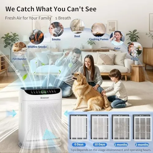 Another view of the Air Purifiers for Home Pets Large Room Up to 3000