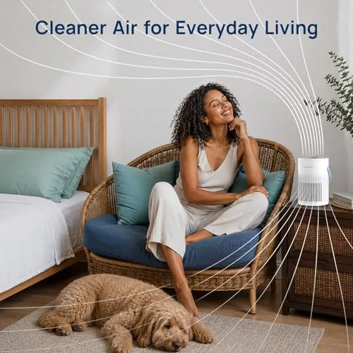 Close look at the Air Purifiers for Home, 3-in-1 HEPA Filter Air Purifier for build quality