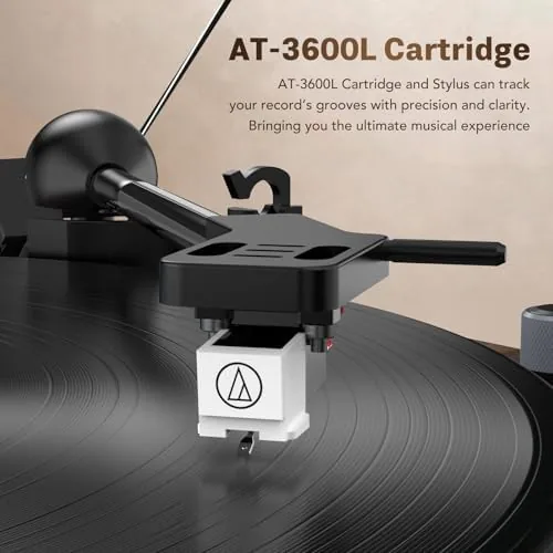 The RetroAudio Vinyl Record Player with Built-in Speakers, Bluetooth 5.4 Input compared in context