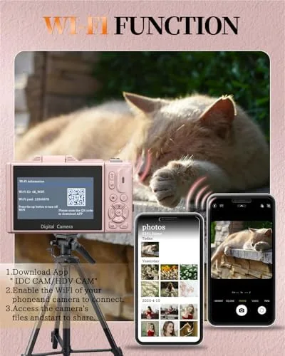 Outdoor vlog footage frame from the camera showing a sunny park scene