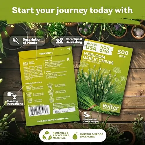 Close look at the 500 Garlic Chives Heirloom Herb Seeds for Planting, Allium Tuberosum build quality