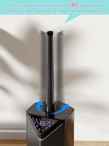 The control panel showing the six mist modes and the timer display