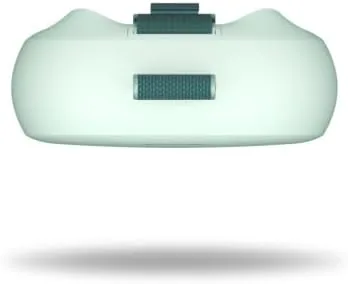 The Bose SoundLink Micro Portable Bluetooth Speaker (2nd Gen), Wireless Outdoor compared in context