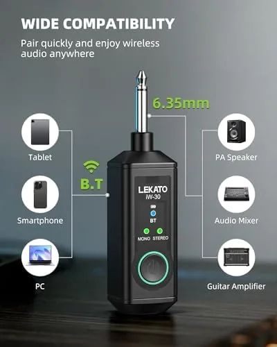 Detail shot of the LEKATO iW-30 Bluetooth Receiver with 6.35mm 1/4" TS Plug, BT features