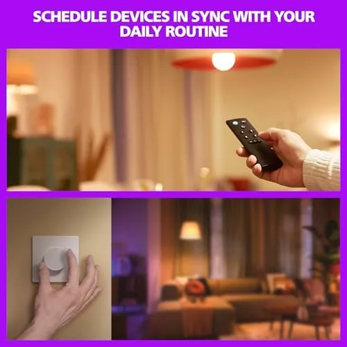Another view of the Philips Smart Lighting Smart Plug, Automations, Connected by WiZ, Alexa
