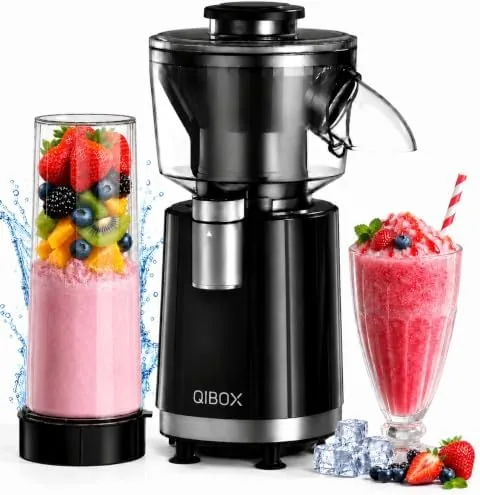 QIBOX 2-in-1 Snow Cone Machine & Smoothie Blender | 700W Electric Ice Shaver for Review: Tested and Rated
