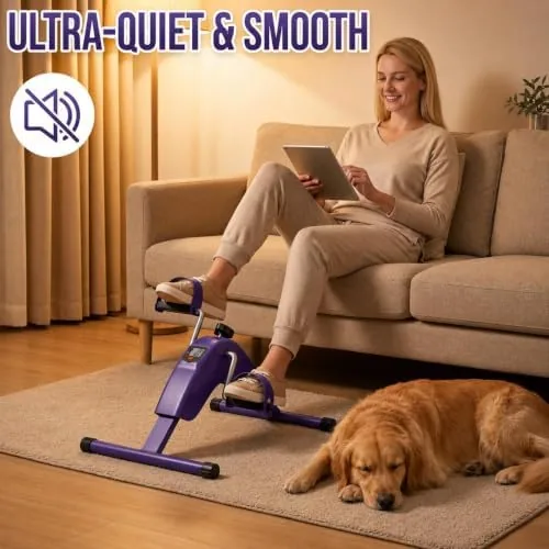pedal exerciser beside a couch in a living room