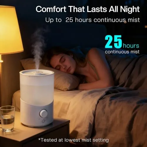 The humidifier in a home office with a houseplant nearby and mist drifting in the air