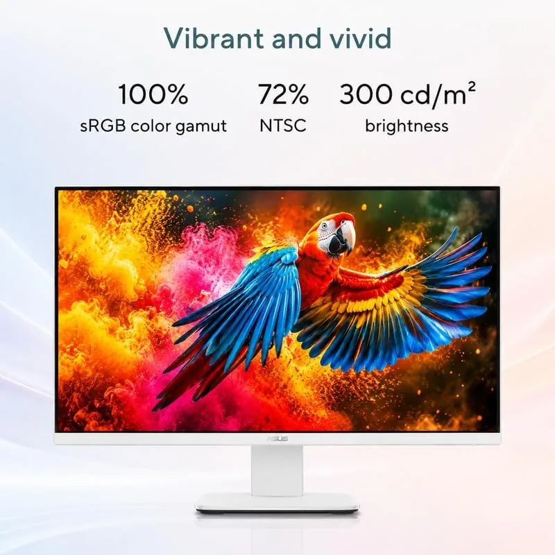 Close up of the ASUS all-in-one stand and the slim profile of the panel