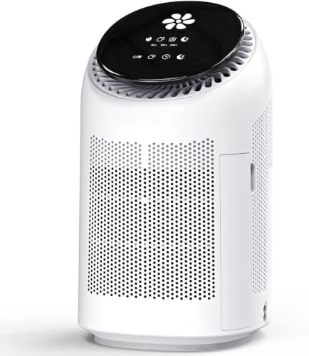 Dehumidifier with Purification Function for Home, Small Dehumidifier for Bedroom with Drain Hose, HEPA Review: Tested and Rated