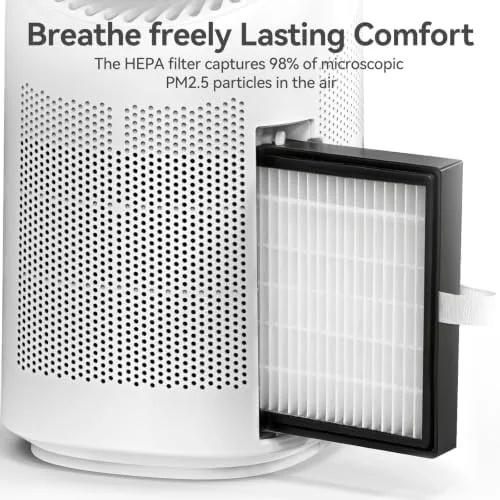 The Dehumidifier with Purification Function for Home, Small Dehumidifier for Bedroom in real use