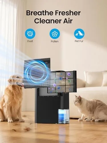 Testing the Dehumidifiers for Home, 2.5L Tank, 35dB Quiet, Continuous Draining Hose over two weeks