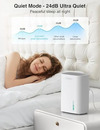 The Small Dehumidifier for Bedroom, Bathroom, Quiet Operation, Portable | 30 in real use